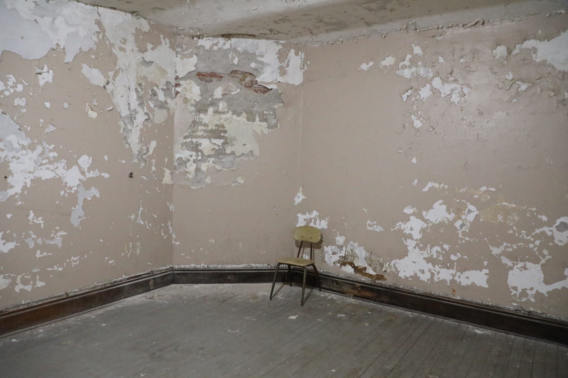 MOLD REMOVAL 101