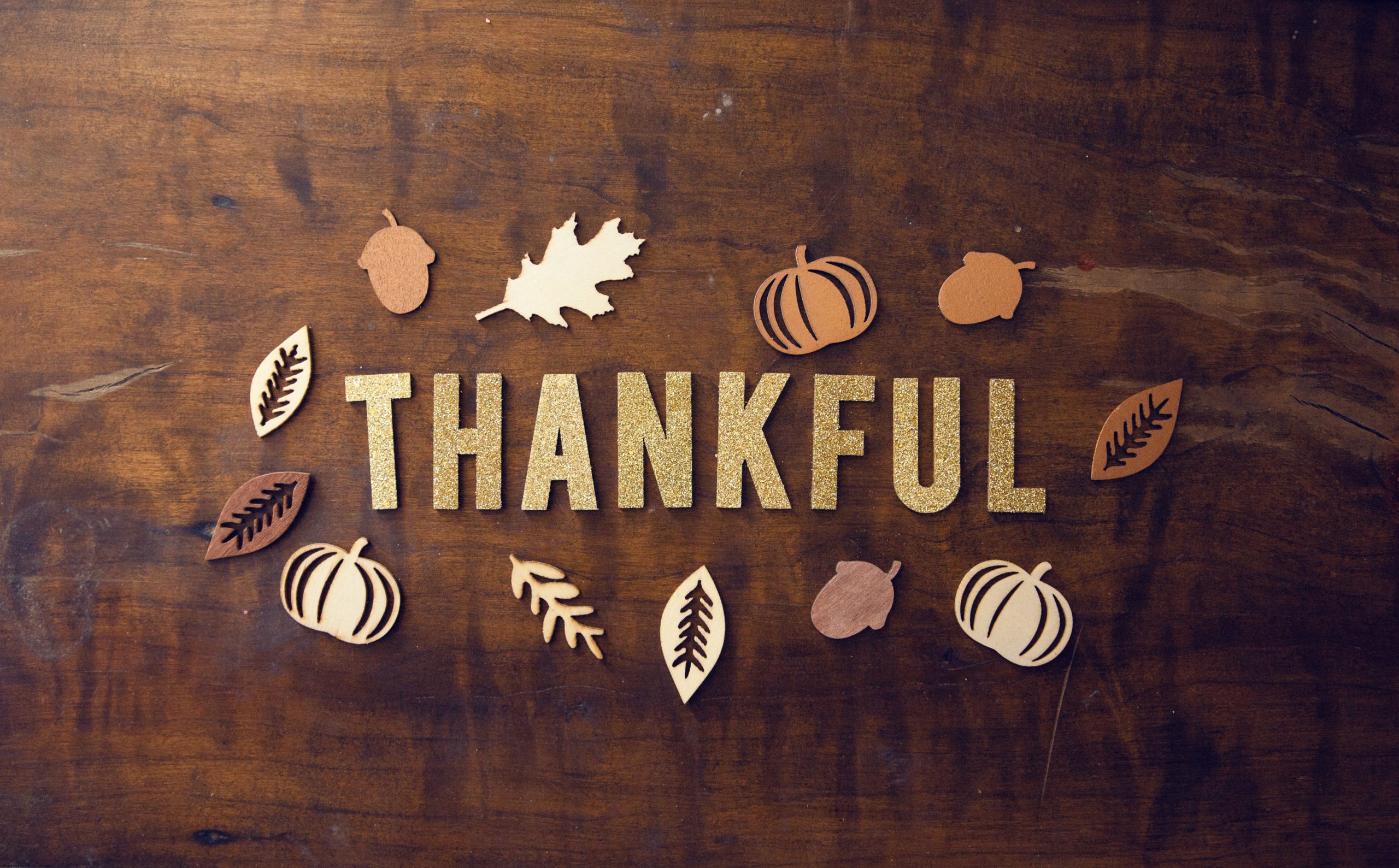 Happy Thanksgiving 2023!!